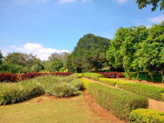 Government Herbal Farm